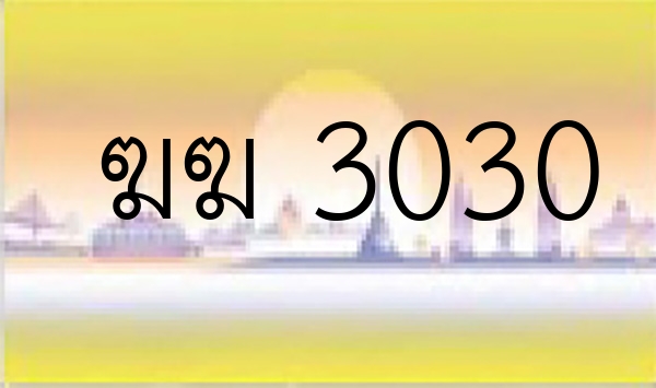 ฆฆ 3030